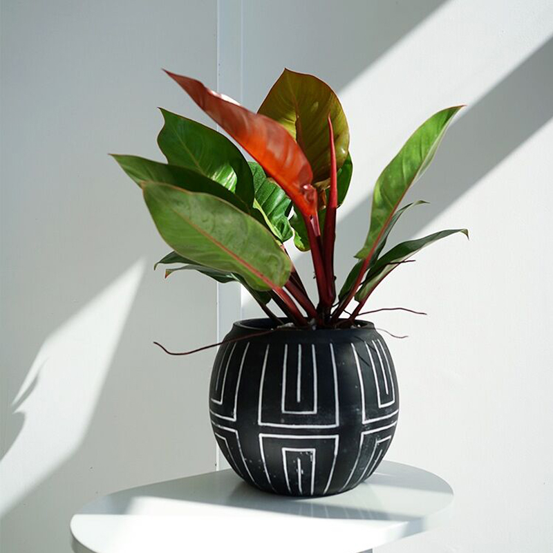 复古做旧水泥圆形花盆黑色创意绿植高级感花器in盆灯笼款