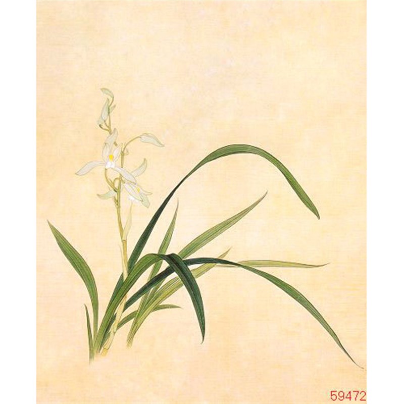 苏绣DIY套件初学材料包 兰花草 客厅卧室餐厅走廊过道 刺绣装饰画图片