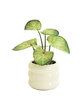 现代风仿真龟背竹绿植装饰品家居办公室客厅室内瓶