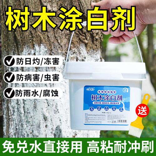 免稀释树木涂白剂树干果树防虫大树柑橘冬季园林防冻树木刷白