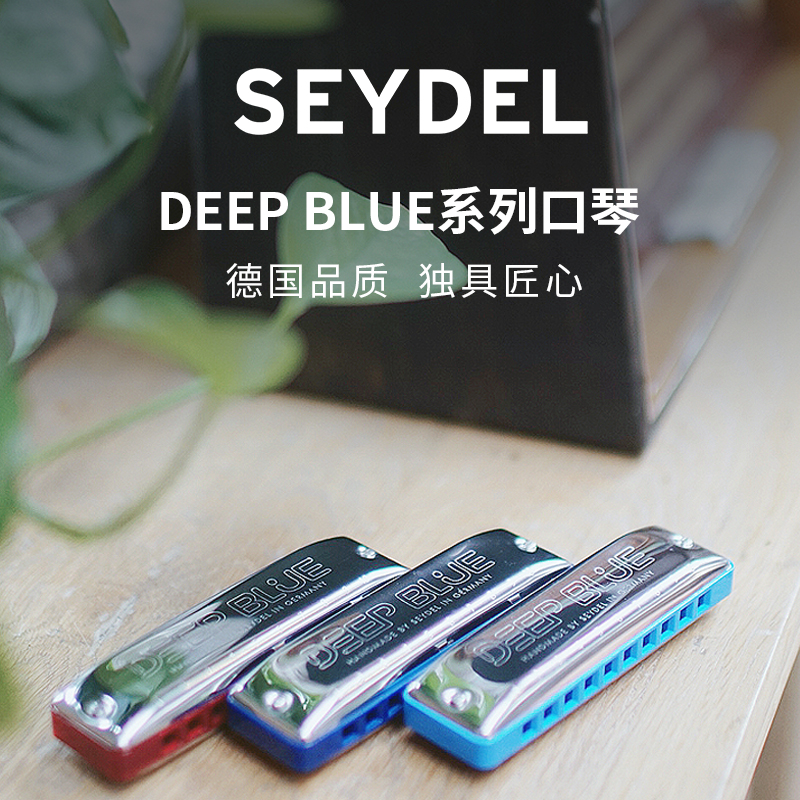 德国赛德EYDEL十孔布鲁斯口琴DB蓝调初学者学生高级专业