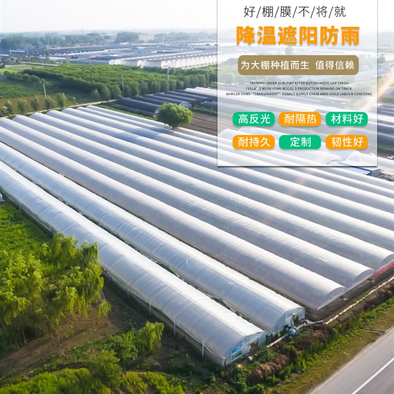 整卷出售大棚膜加厚塑料薄膜塑料布无滴膜po膜黑白膜防潮保湿