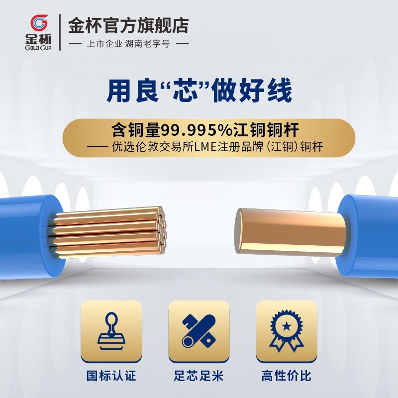 金杯电线 铜芯线BV/BVR  10/1平方入户线线