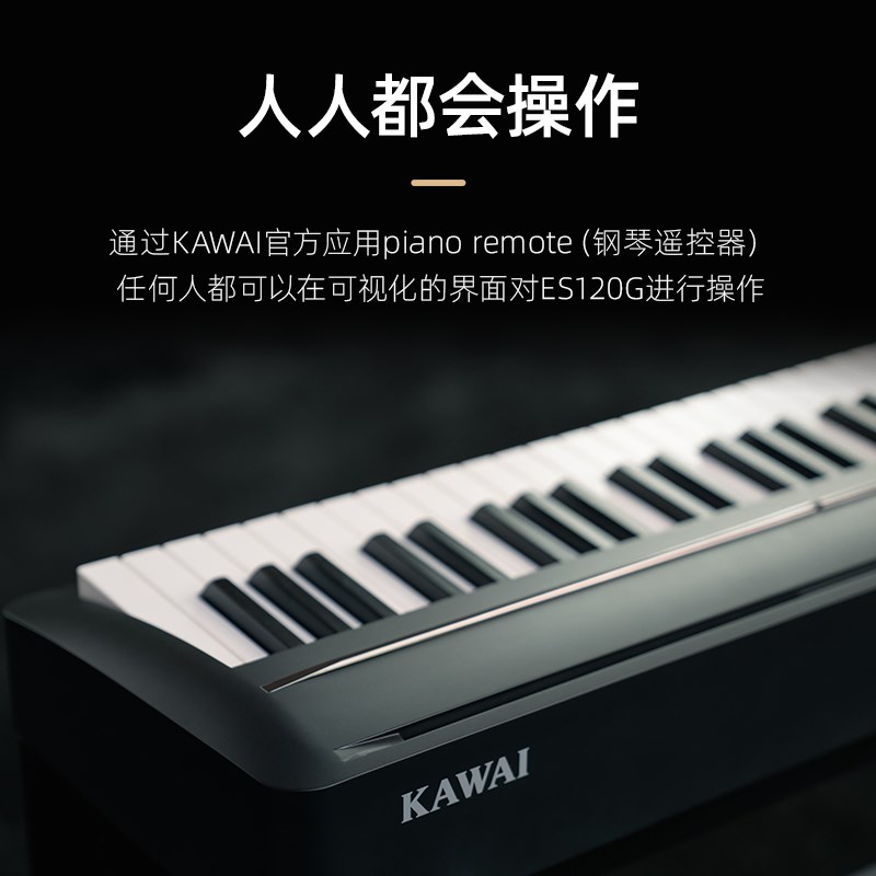 KWI卡瓦依电钢琴88键重锤E0初学便携家用智能电子钢琴E110