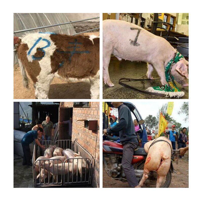 猪用记号蜡笔兽用记号笔牛畜牧专用猪场养殖场动物给羊做标记画笔