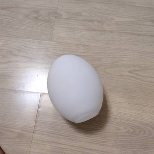 玻璃鸟蛋楕圆型鹅蛋白色玻璃磨砂灯罩蛋型灯罩吊灯单口灯罩