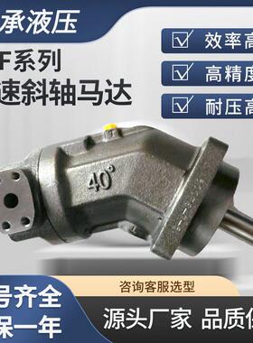 A2FM250/60W-VZB010新款液压马达行走马达速马达