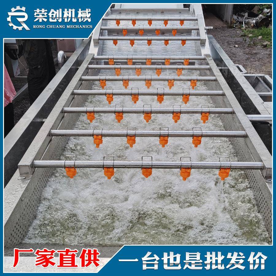 菌菇气泡清洗机茶薪菇冲浪喷淋清洗机杨树菇清洗去毛发设备