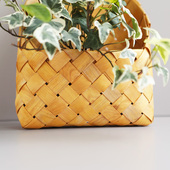 藤编兜编织篮雪莹叶常春藤小新园艺室内搭配挂饰