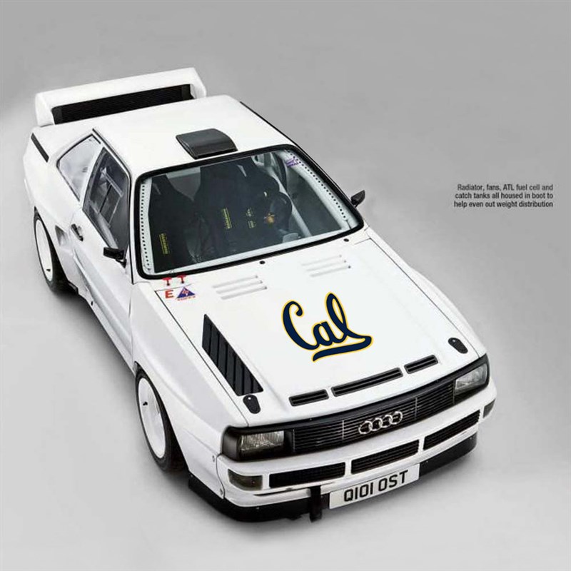 CAL加州大学伯克利墙贴办公室玻璃贴纸装饰个性创意车贴咖啡定制