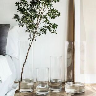 瓶水培大瓶鲜玻璃直筒富贵竹醒落地马醉木客厅桶