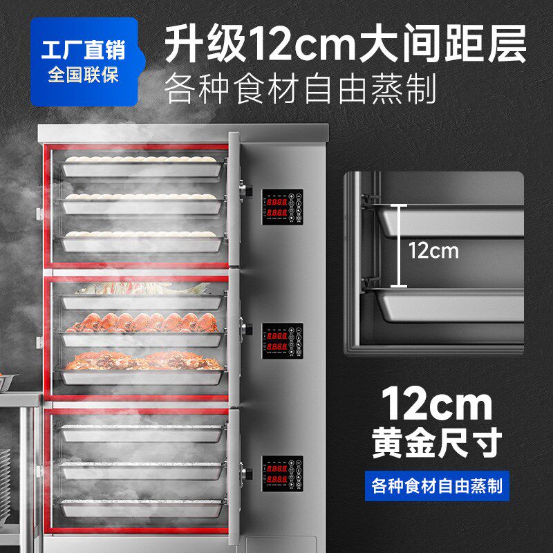 驰能蒸箱商用电热智能门海鲜蒸柜燃气蒸饭柜蒸鱼炖汤柜大型