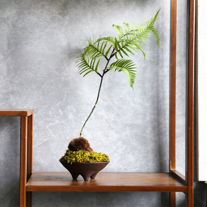 新侘寂风仿真绿植室内盆景氛围感样板房软装饰品,家居饰品,仿真植物盆景,淘宝优惠券,粉丝福利购,淘宝优惠卷