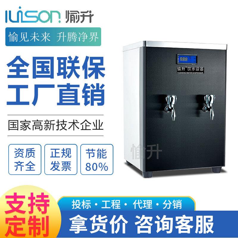 台式迷你型饮水机温热节能净水机家用吧台小型开水器带过滤