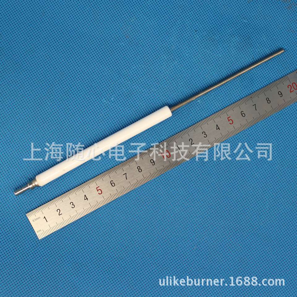 离子探针/火焰探测 | BLU350用 Ecoflam/意高 燃烧器配件