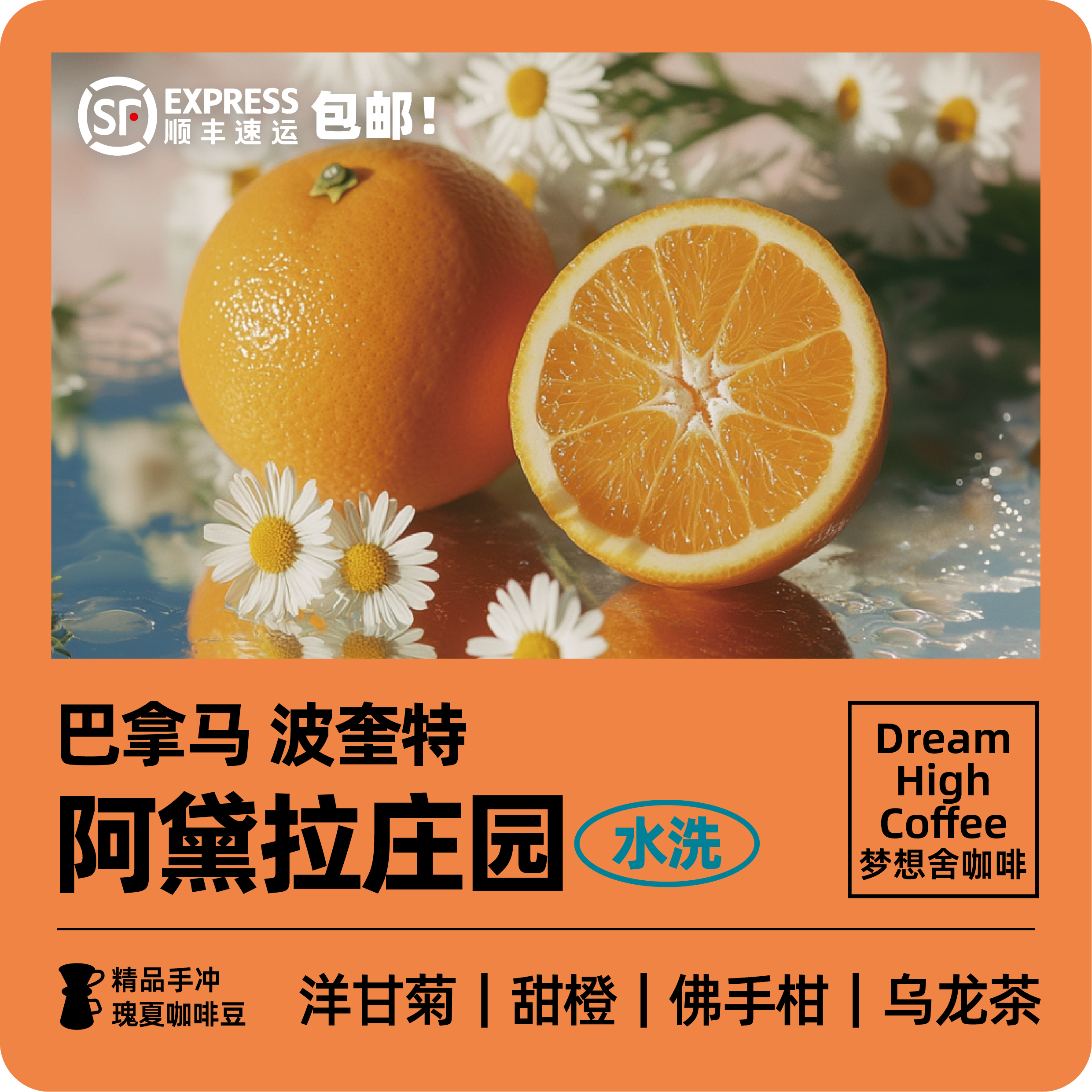 梦想舍波奎特阿黛拉水洗咖啡豆