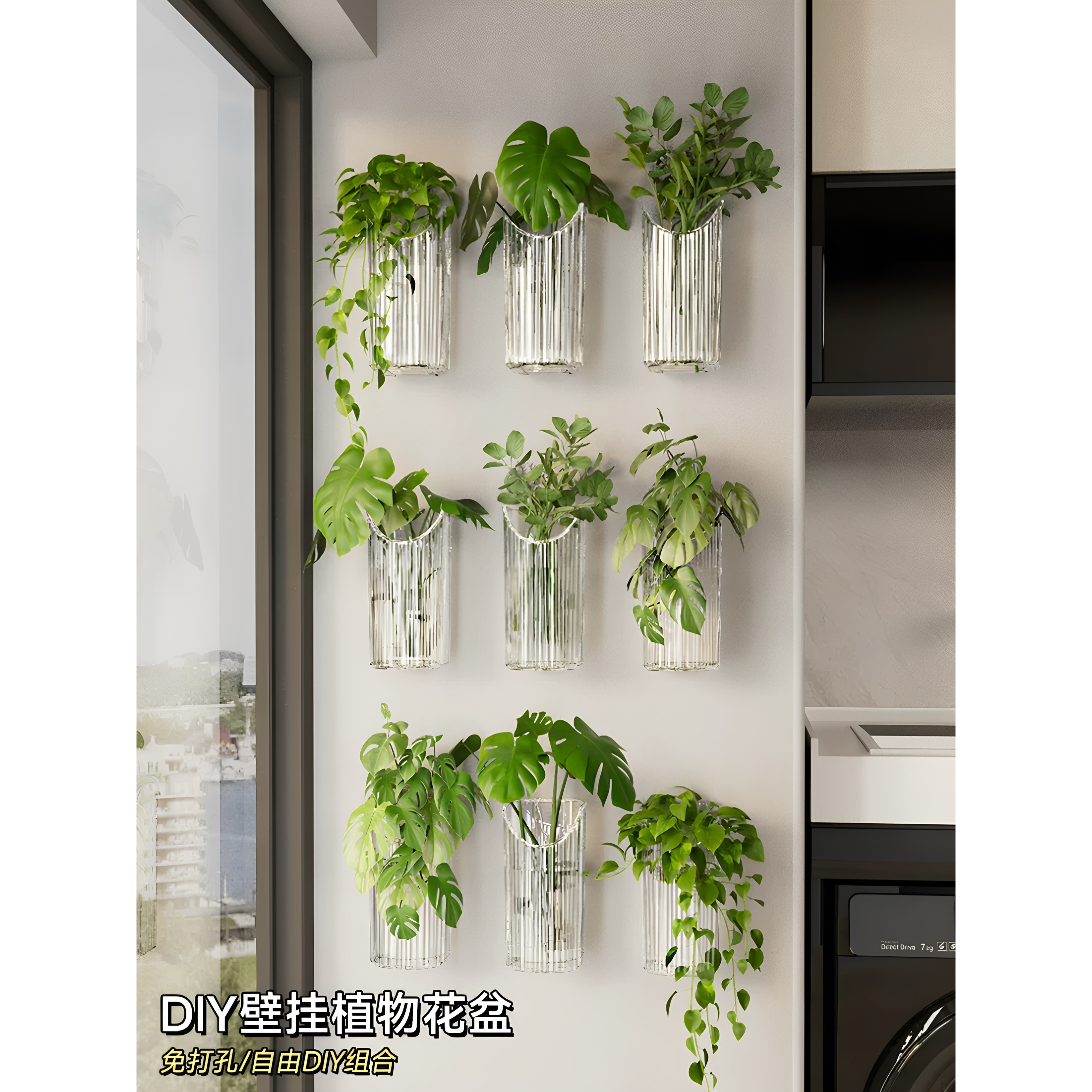 墙上绿萝植物花盆透明水养插花架