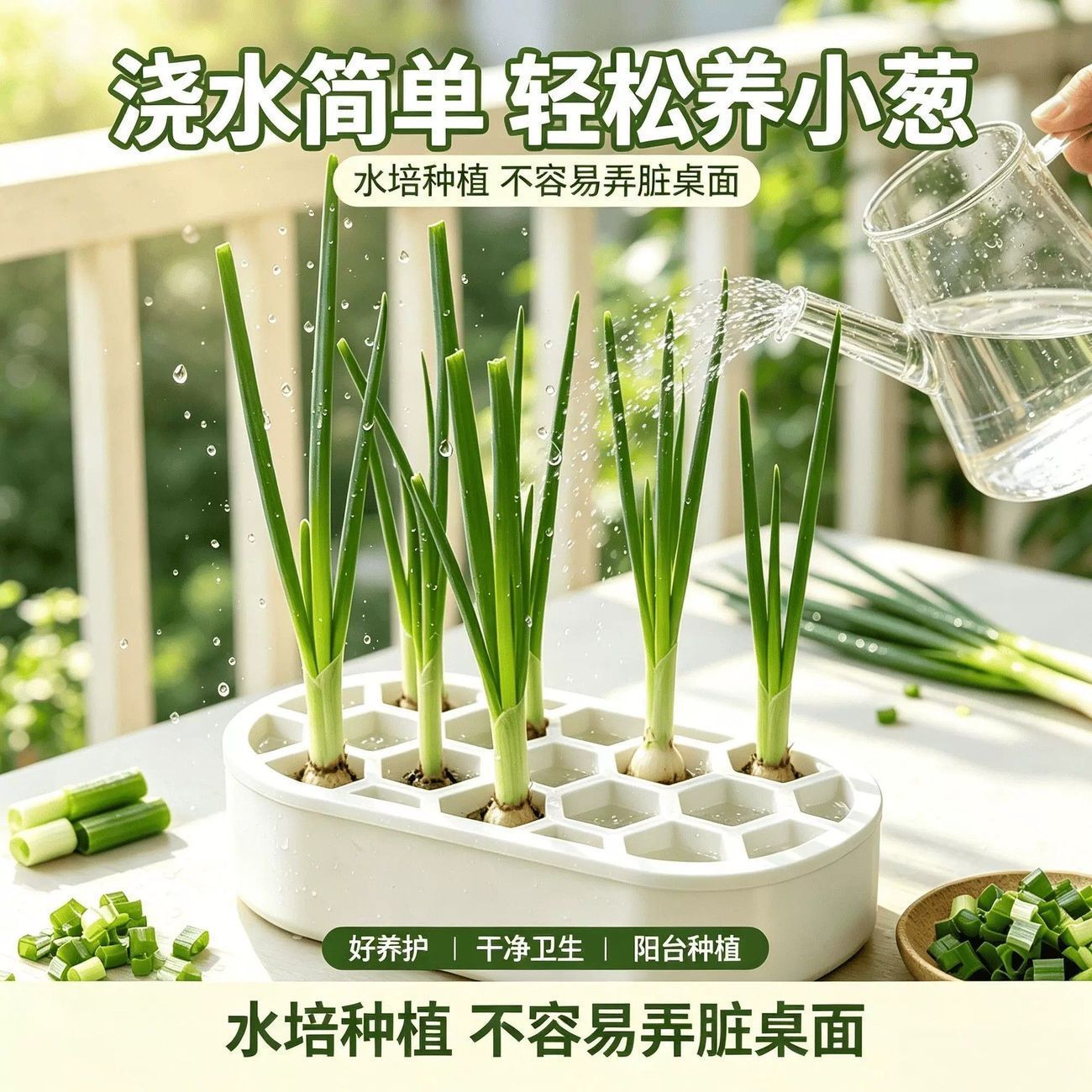 水培葱花种植盒室内阳台家庭种植