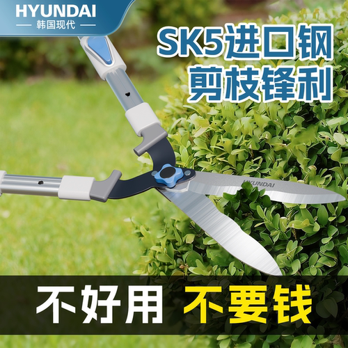 现代园艺剪刀剪树枝专用剪刀