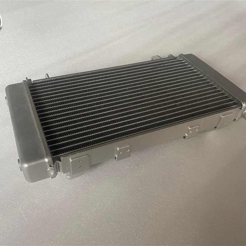 适用钱江贝纳利黄龙600水箱BJ600GS BN600i水箱散热器带支架