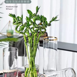 富贵竹花瓶专用水培植物大器皿玻璃透明养水竹雪柳马醉木客厅摆件