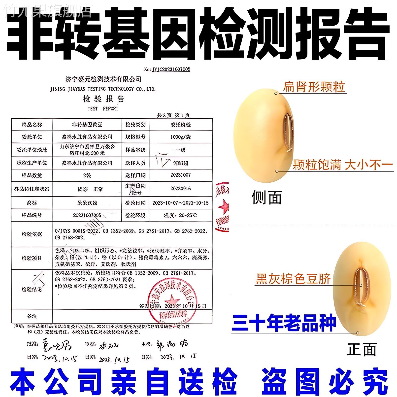 东北非转基因新黄豆2024年今年的农家自种打豆浆专用有机黄豆粒