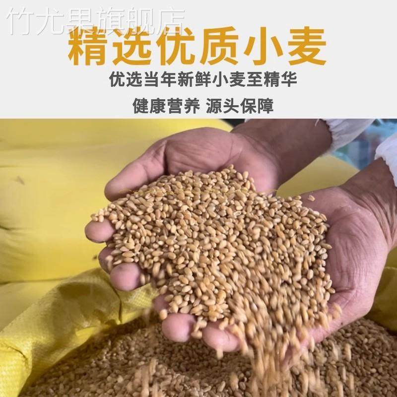 农家自磨面粉石磨无添加农村小麦粉5斤新国标零添加中筋家用陕西