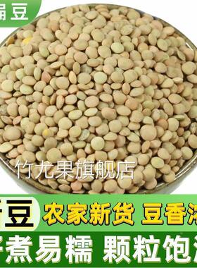 小扁豆500g金豌豆低脂健身五谷杂粮甘肃绿扁豆Lentils发豆芽兵豆