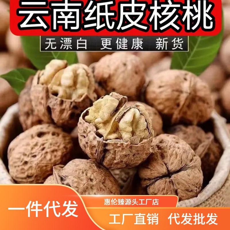 新货云南纸皮核桃新鲜核桃野生薄壳核桃薄皮核桃山核桃核桃核桃