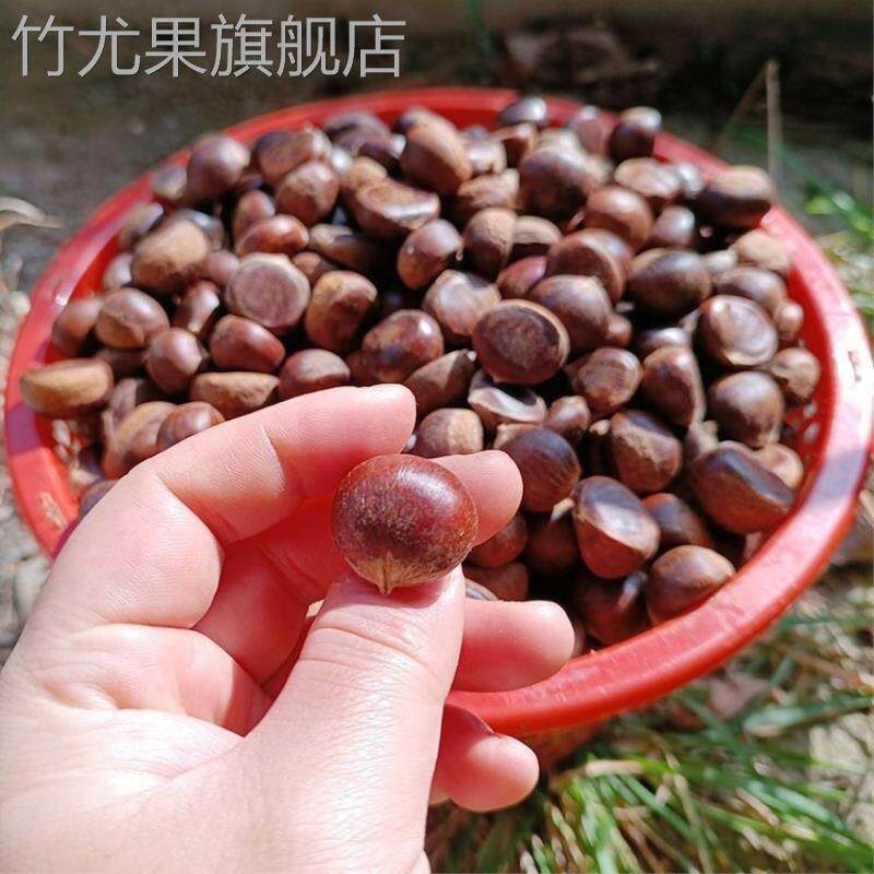 当季新鲜小毛栗野生带壳小栗子燕山野生小个小油栗新鲜薄皮毛栗子