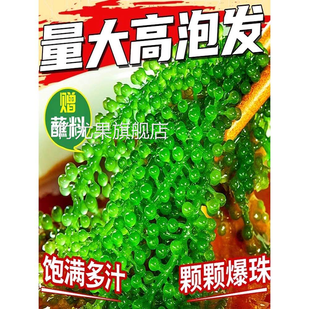 网红海葡萄100g新鲜即食盐渍海带海洋蔬菜绿色鱼子酱海藻菜送芥末