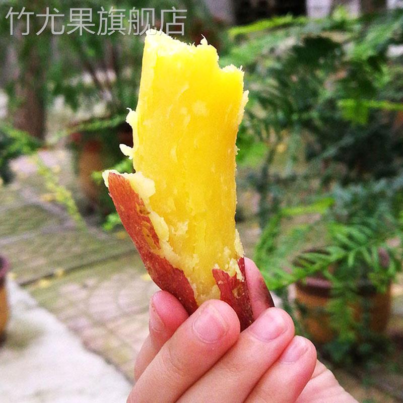 板栗红薯新鲜9斤黄心地瓜农家自种香薯小山芋薯10蜜薯山东番薯