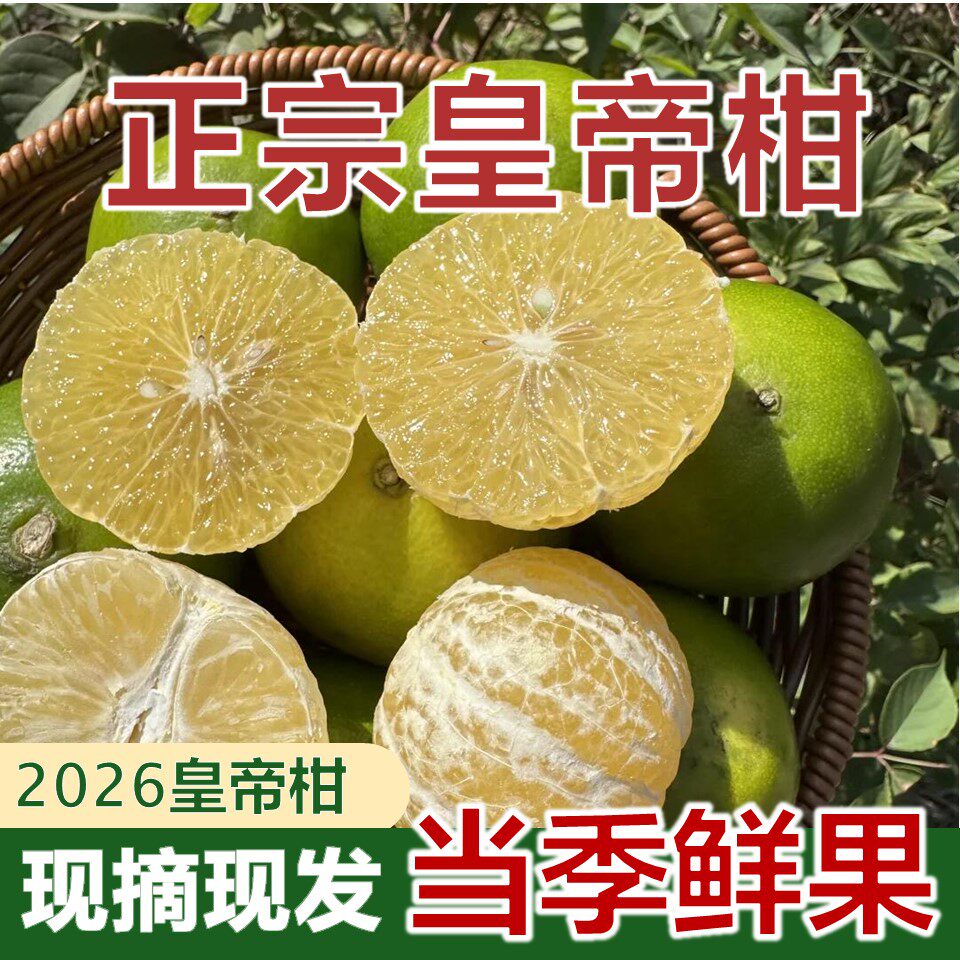 【正宗】皇帝柑广西新鲜桔子当季鲜果现摘现发2