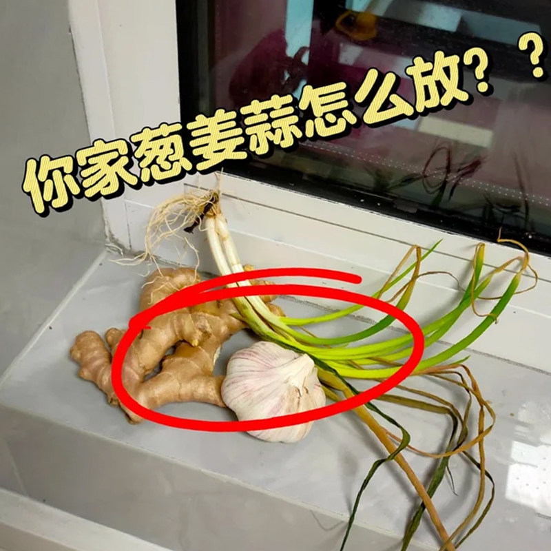 吸盘葱姜蒜收纳盒厨房置物架壁挂生姜大蒜收纳免打孔管道清洁棒,餐饮具,洗菜盆/沥水篮/漏水筛,淘宝优惠券,粉丝福利购,淘宝优惠卷