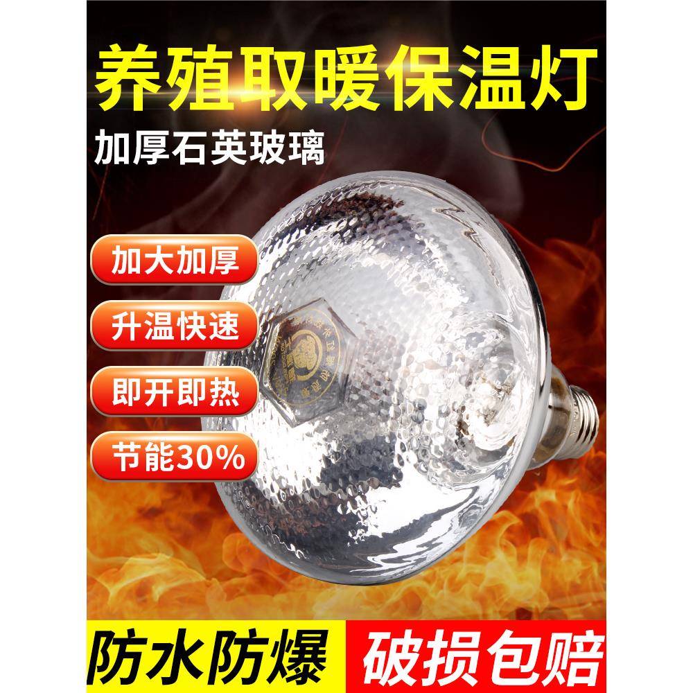 猪博士小仔猪用保温灯养殖场专用小鸡育雏保温灯取暖灯泡加热烤灯