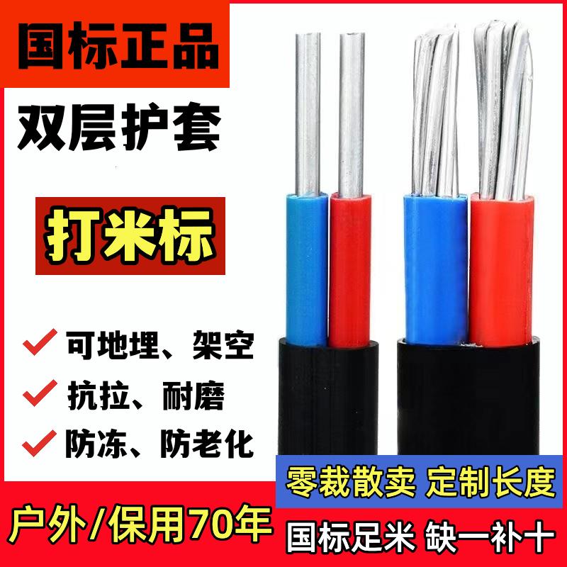 国标2芯护套线铝芯家用户外电线4/6101625平方双芯铝电缆线防老化