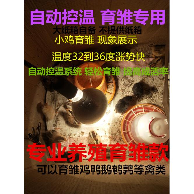 保温灯芦丁小鸡育雏箱保温箱智能控温灯小鸡鸭鹅鹌鹑育雏养殖设备