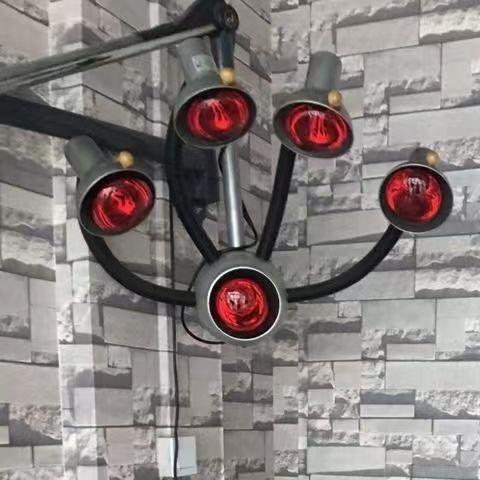 采购产品美容和理发店红外线五头灯泡烘烤，烫发，油定型，加速加