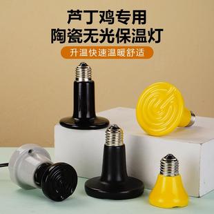 陶瓷加热灯无光灯爬宠取暖灯泡爬虫宠物蜥蜴晒背鹦鹉芦丁鸡保温灯