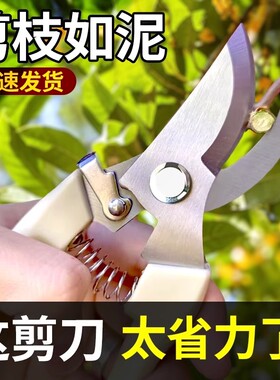 剪枝果树修枝剪刀园艺园林修花枝剪家用强力神器花剪剪枝花卉剪刀