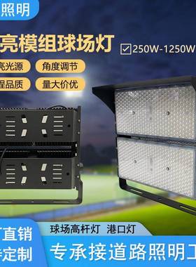 户外高杆灯球场灯500W隧道灯led大功率1000W模组投光灯厂家