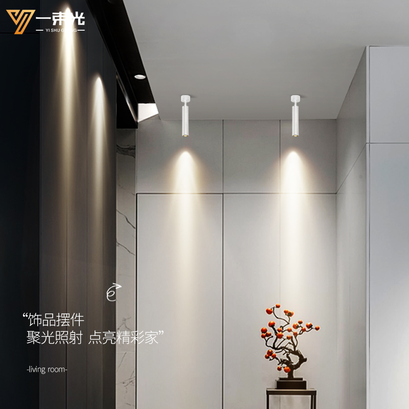 一束光聚光射灯明装吸顶防眩客厅ktv酒吧清吧餐桌西餐厅氛围筒灯