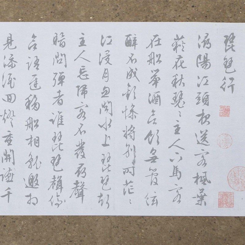 文征明行书琵琶行水写布 毛笔书法水万次练字经济环保