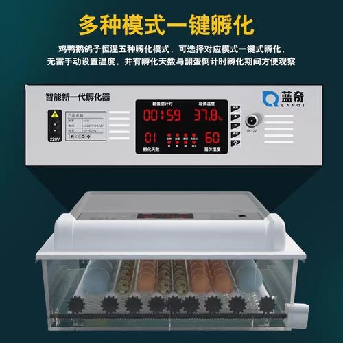 全自动孵化机家用小型小鸡孵化器鸭鹅鸽子鹌鹑孵蛋器孵小鸡的机器