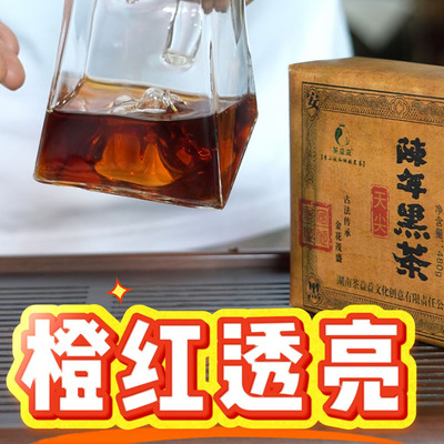 2012年老茶安化黑茶金花茯茶砖茶