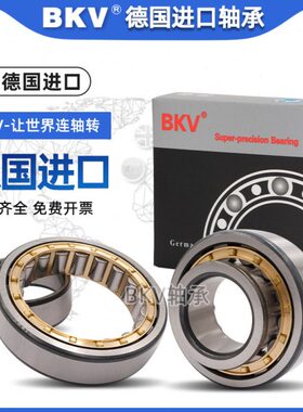 德国进口BKV圆柱滚子轴承NJ1011 1012 1013 1014 1015 1016EM