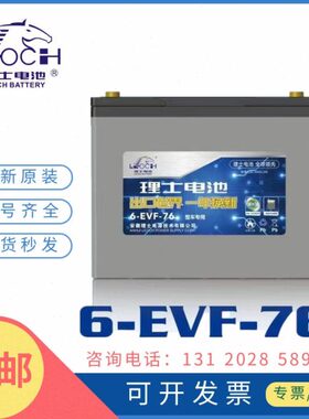 E2012V专用大容量AF-60H1H110理士VA-6/50AH7H电动车电池010A电池