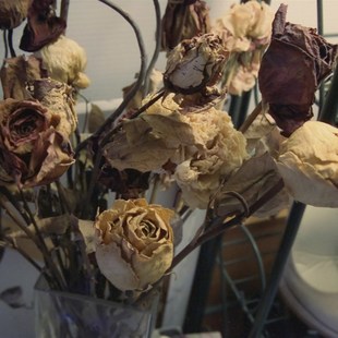 电影除碳卷T 22年远期 张彩色胶卷负片菲林c冲洗