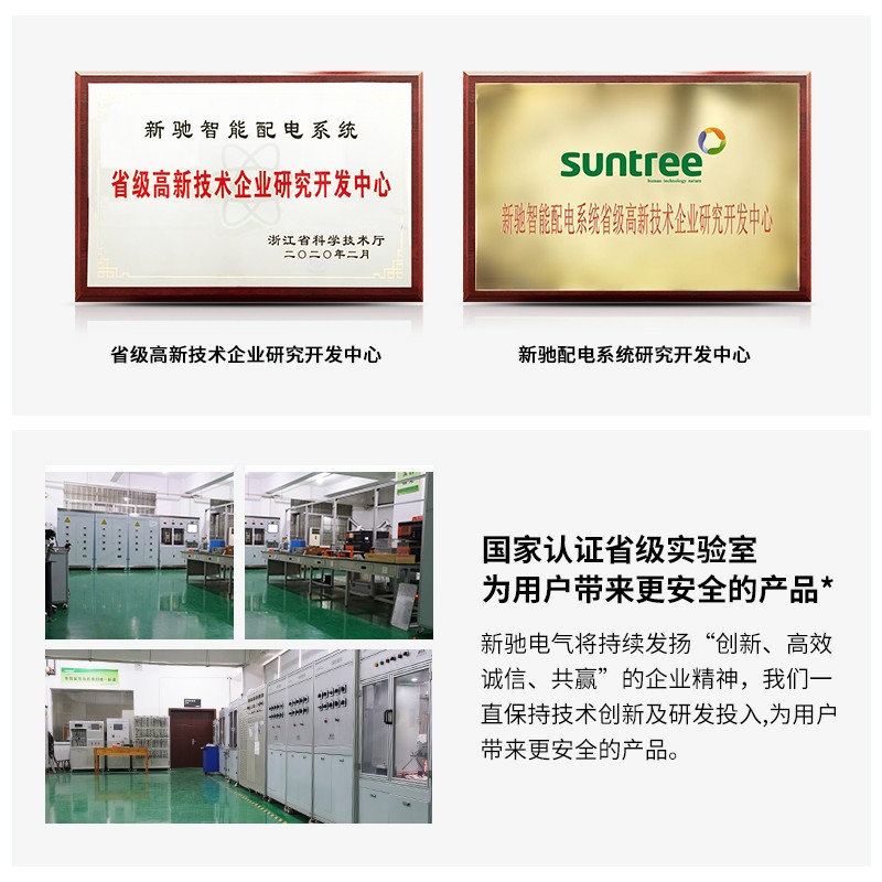 新驰浪涌保护器2P避雷器380V遁形20-40KA光伏交流电涌防雷保护器