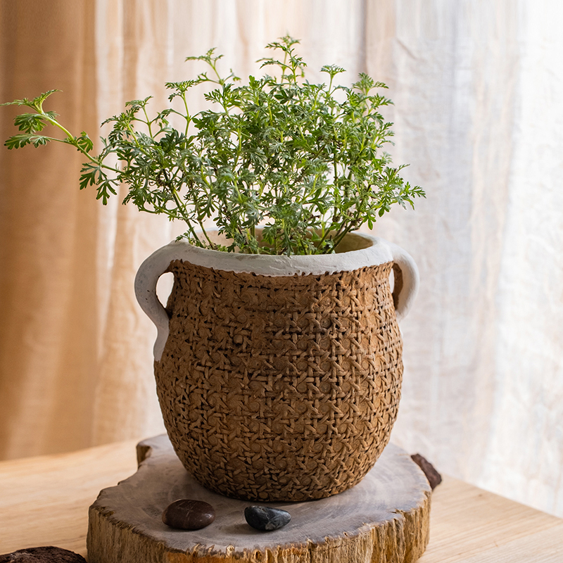 掬涵水泥耳花盆古朴编织效果创意花器百搭绿植盆栽多肉阳台花园
